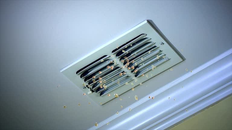 Best Commercial Air Duct Cleaning  in Priceville, AL