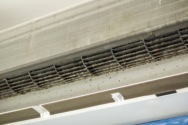 Best Commercial HVAC Duct Cleaning  in Priceville, AL